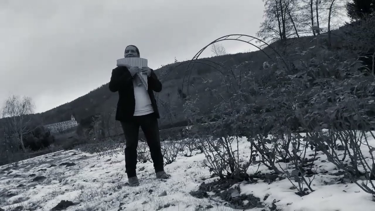 Božična Noč