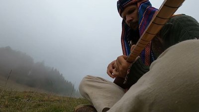 Waiting for the Fox